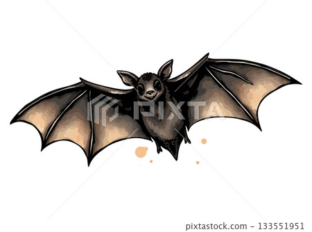 Vector illustration of a bat. Vector illustration of a bat. 133551951