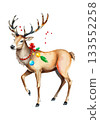 Christmas deer watercolour vector illustration. 133552258