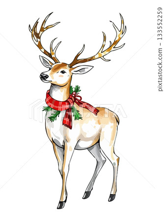 Christmas deer watercolour vector illustration. Christmas deer watercolour vector illustration. 133552259