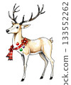 Christmas deer watercolour vector illustration. 133552262