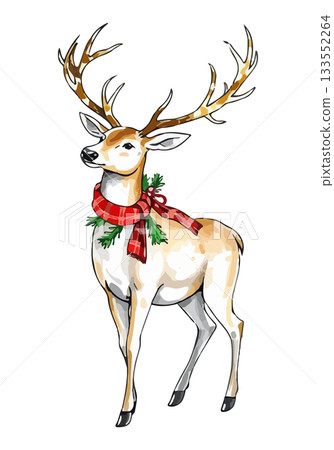 Christmas deer watercolour vector illustration. 133552264