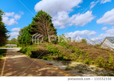 Branches trees cover road after storm, creating an obstacle recent tornado storm 133552330