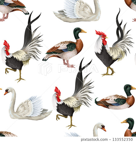 Seamless pattern with roosters, swan and duck. Vector. 133552350
