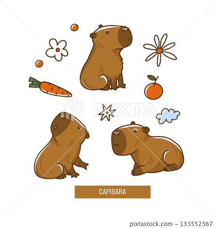 Cute capybara pattern with carrots and flowers in playful vector . 133552367