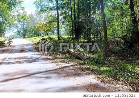 Large tree has fallen across road, with branches debris scattered around recent tornado storm 133552522