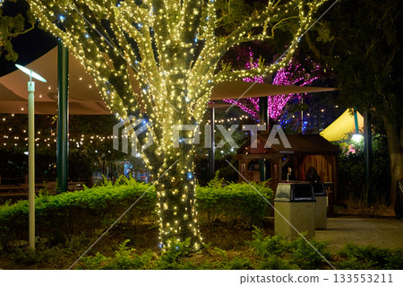A tree trunk and branches shine with warm lights beside shrubs and paths. The night park scene feels festive and welcoming. A tree trunk and branches shine with warm lights beside shrubs and paths. The night park scene feels festive and welcoming. 133553211