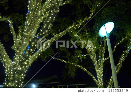 Branches wrapped in tiny LEDs glow warmly next to a modern lamp. The outdoor holiday display creates a bright, cheerful atmosphere. Branches wrapped in tiny LEDs glow warmly next to a modern lamp. The outdoor holiday display creates a bright, cheerful atmosphere. 133553249