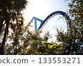 A roller coaster loop rises over palms and green foliage with strong backlight. The sunny park setting mixes nature and steel for a lively vacation mood. 133553271