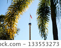 An American flag waves on a tall observation mast under a clear blue sky. Palm leaves create a tropical frame around the patriotic scene. 133553273