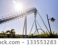 Tall steel roller coaster track rises into the bright sunny sky at an amusement park. Palm trees, blue sky, and theme park structures create a fun vacation atmosphere. 133553283