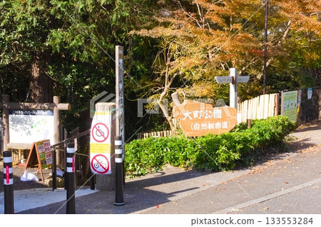 2025年11月，千葉縣市川市大町公園附近 133553284