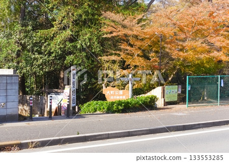 2025年11月，千葉縣市川市大町公園附近 133553285