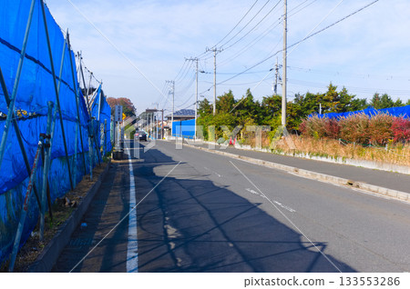 千葉縣川市動物園和植物園週邊地區，2025年11月 133553286