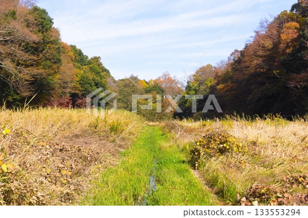 Around Ichikawa City Zoo and Botanical Gardens, Chiba Prefecture November 2025 Around Ichikawa City Zoo and Botanical Gardens, Chiba Prefecture November 2025 133553294
