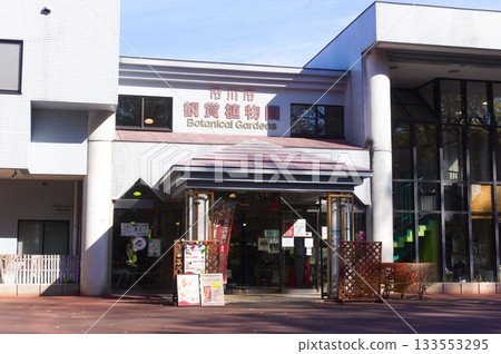 千葉縣川市動物園和植物園週邊地區，2025年11月 133553295