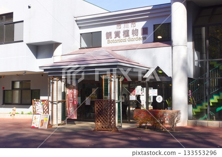 千葉縣川市動物園和植物園週邊地區，2025年11月 133553296