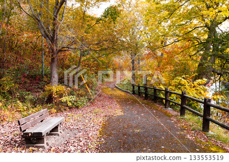 Autumn scenery of Takinoue Town Autumn scenery of Takinoue Town 133553519