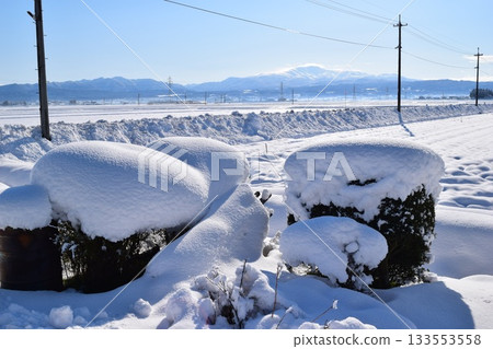 東北地區山形縣莊內的雪景 133553558