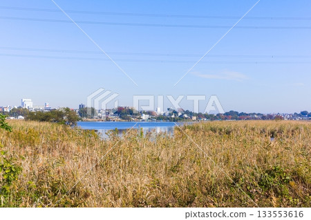 Around Lake Teganuma, Kashiwa City, Chiba Prefecture November 2025 Around Lake Teganuma, Kashiwa City, Chiba Prefecture November 2025 133553616