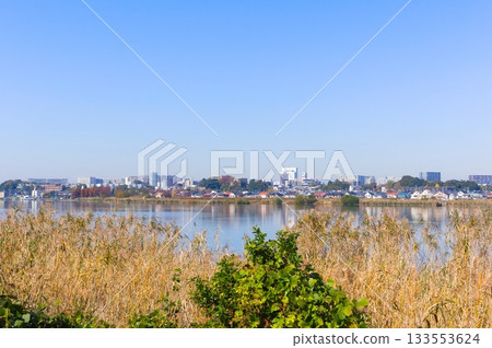 Around Lake Teganuma, Kashiwa City, Chiba Prefecture November 2025 Around Lake Teganuma, Kashiwa City, Chiba Prefecture November 2025 133553624