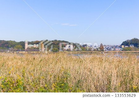 Around Lake Teganuma, Kashiwa City, Chiba Prefecture November 2025 Around Lake Teganuma, Kashiwa City, Chiba Prefecture November 2025 133553629