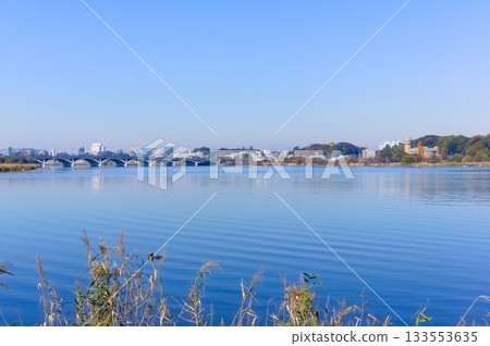 千葉縣柏市手賀沼湖周邊 2025 年 11 月 千葉縣柏市手賀沼湖周邊 2025 年 11 月 133553635