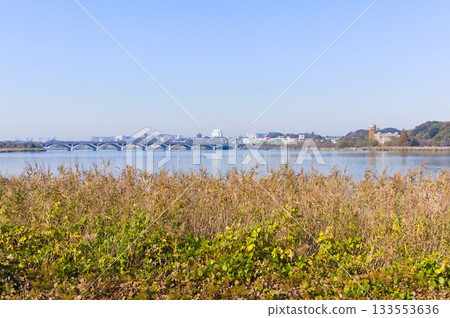 千葉縣柏市手賀沼湖周邊 2025 年 11 月 133553636