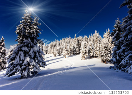 Winter 133553703