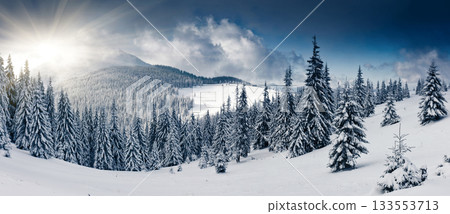 Winter Winter 133553713