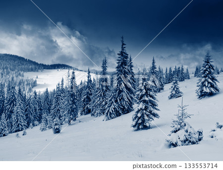 Winter Winter 133553714