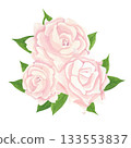 Elegant light peach rose blooms surrounded by rich green leaves. The illustration is executed in watercolor, lending it a delicate, translucent quality with soft color transitions.  133553837