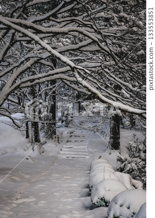 龍恩寺的雪景 133553851