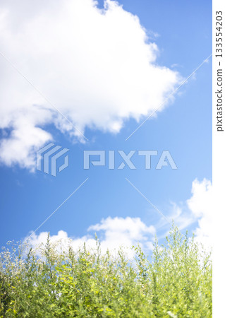 高原上的夏日青草和藍天(大山京賀成) 高原上的夏日青草和藍天(大山京賀成) 133554203