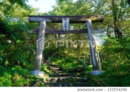 Torii of Harunafujisan Shrine 133554290