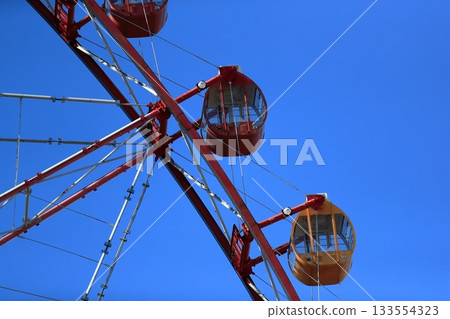 Ferris wheel (Kasai Rinkai Park) 133554323