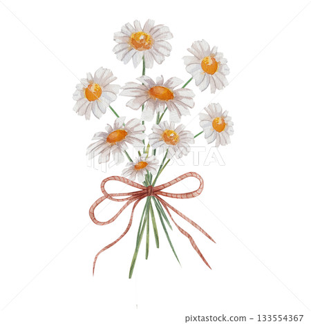 Watercolor bouquet of daisies tied with rustic twine on white. Hand drawn botanical illustration in charming country style. Delicate floral arrangement perfect for wedding and gift designs 133554367