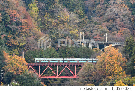 A train running on the Chuo Main Line amid autumn leaves 133554385