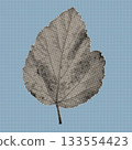 Detailed vintage-style halftone leaf created with dense black dots. Perfect for botanical prints, retro posters, textured backgrounds, minimal art, and modern graphic compositions. 133554423