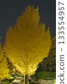 東京多摩市的一棵巨大的銀杏樹 133554957