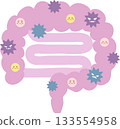 Intestinal environment bad bacteria 133554958