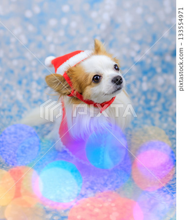聖誕節快樂 133554971