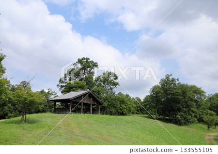 清爽的夏日公園涼亭 清爽的夏日公園涼亭 133555105