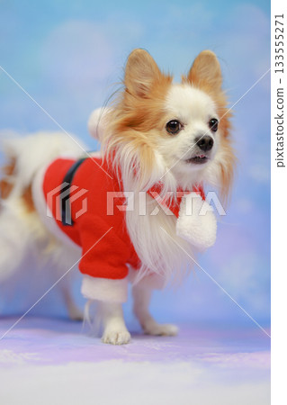 聖誕節快樂 133555271