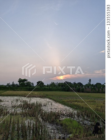 Serene sunset over a rural landscape with waterlogged fields 133555393