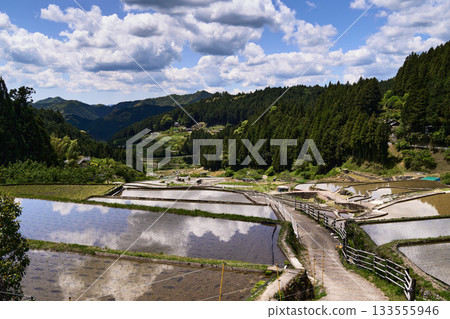 【千枚田四谷】水稻田倒映著藍天 【千枚田四谷】水稻田倒映著藍天 133555946