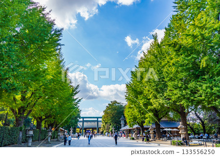東京靖國神社的走道 133556250