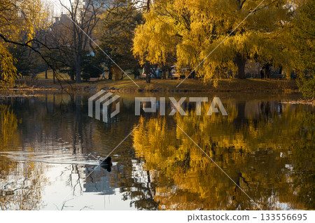 深秋的中島公園_8785 深秋的中島公園_8785 133556695