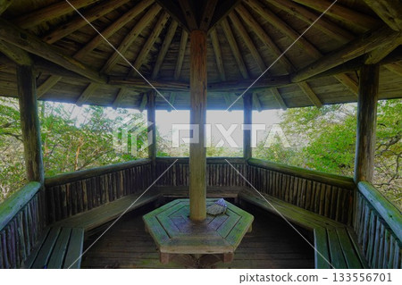 Mount Haruna Tsutsujigamine gazebo 133556701