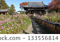 Flower Temple: Hannya-ji Temple in Nara 133556814