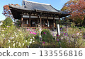Flower Temple: Hannya-ji Temple in Nara 133556816